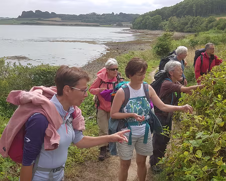 20210816_144558 Mûres