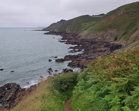 20210818_105442 Falaises de Trédrez