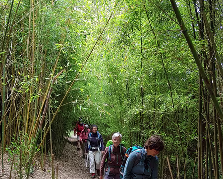 20210818_135909 Bambouseraie du Dourven