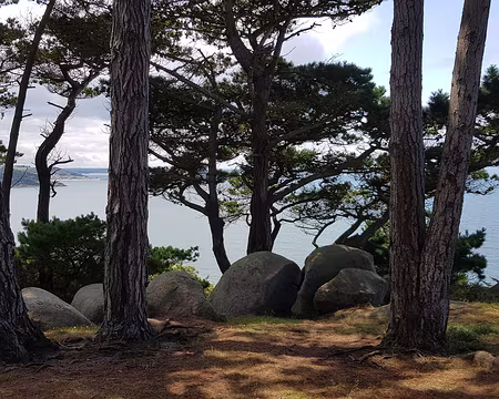 20210819_140647 Beg Léguer