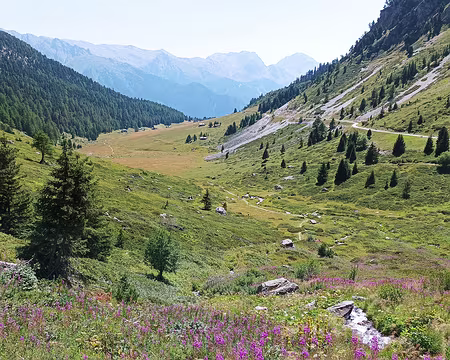0003 le long du sentier de découverte