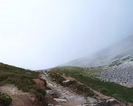 0007 où est le chemin...