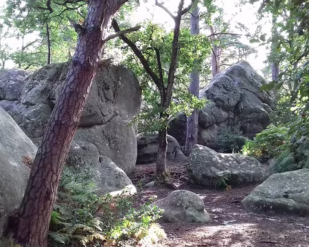 009 sur le sentier Denecourt n° 5