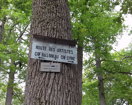 044 La Route des Artistes dans la forêt de Fontainebleau