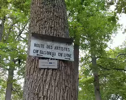 044 La Route des Artistes dans la forêt de Fontainebleau