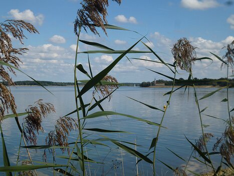 Dominique Dominique F, détail sortie