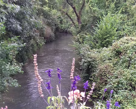 004 La Voulzie, longue 43 km, est un affluent de la Seine en rive droite