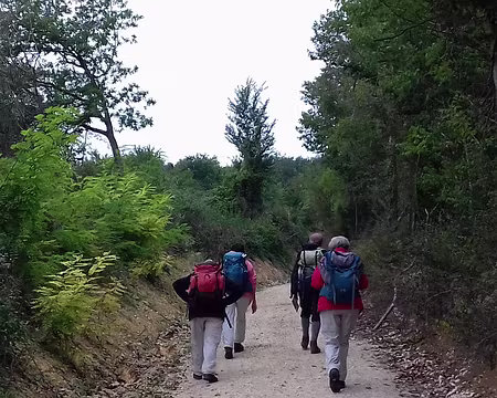 005 Sur le GR 11 (Grand Tour de Paris)