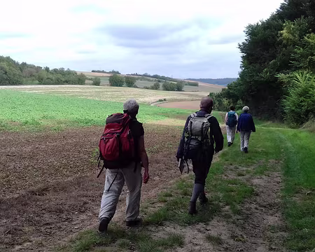 026 Chemin de lisière