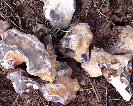 041 Rognons de silex en bordure de champ labouré