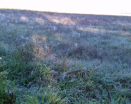 002 Ambiance hivernale