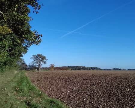 003 Chemin de lisière