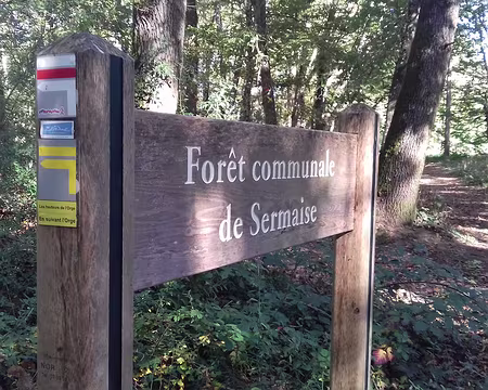 019 La forêt communale de Sermaize sur les hauteurs de l’Orge …