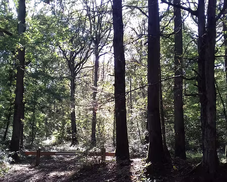020 a été classée Espace Naturel Sensible par le département de l’Essonne