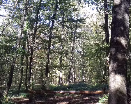 021 Ombre et lumière