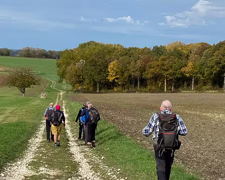 IMG_4672 Au loin, le bois de Montretout…
