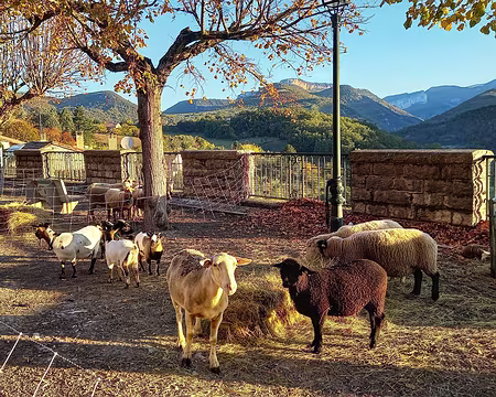 015 Place du village