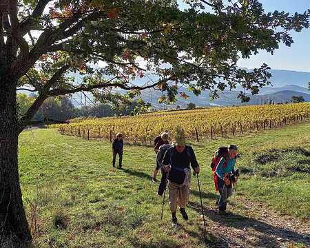 017 24 km + 800 -800, vers l'ouest Cobonne et le synclinal de St-Pancrace.
