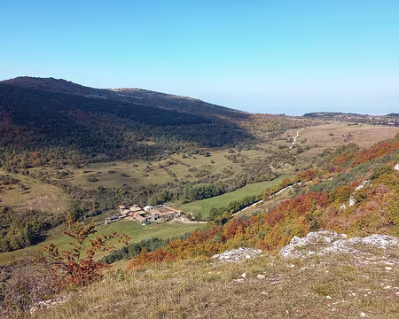 041b La ferme de Boussière élève des highlands