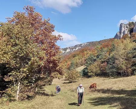 043 Dans le vallon dominé par le Rocher de l'Aigle.