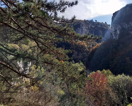 105 Au dessus des gorges.