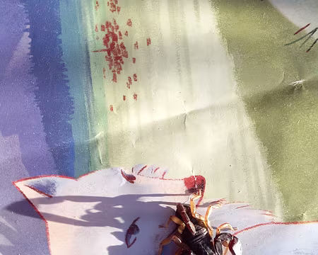 126 2 animaux dangereux