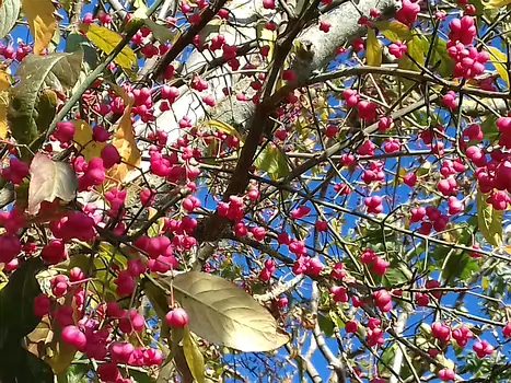 2021-10 La Ferté-sous-Jouarre