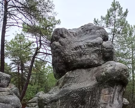 01 Vénus Paléolithique nous accueille en forêt