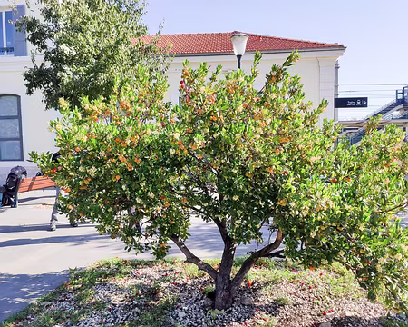 20211009-11h55m28s-20211009-11h55m28s-IMG_20211009_115527-V3-V3