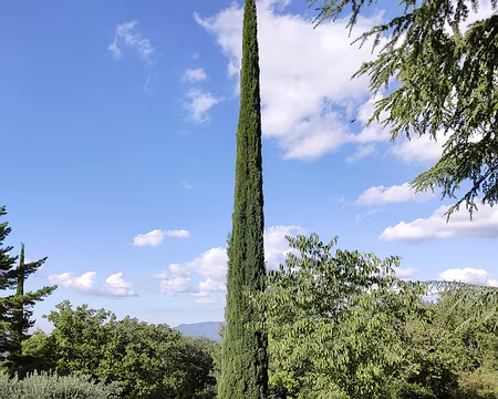 20211009-16h02m41s-20211009-16h02m41s-20211009-16h02m41s-IMG_20211009_160240-V3-V3-V3