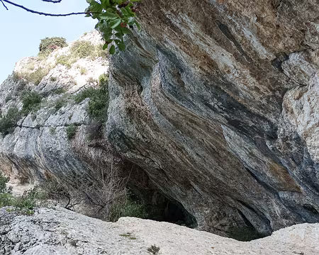 20211010-11h55m44s-20211010-11h55m44s-20211010-11h55m44s-IMG_20211010_115542-V3-V3-V3