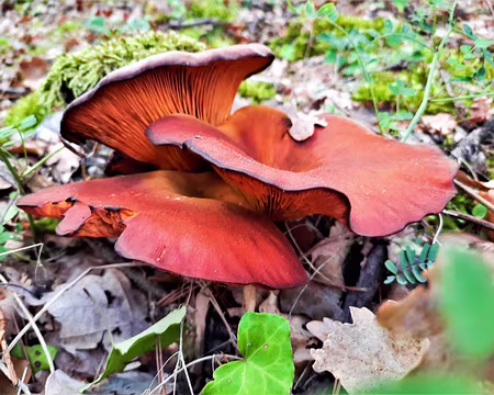 20211010-12h22m11s-20211010-12h22m11s-20211010-12h22m11s-20211010_122211-V3-V3-V3