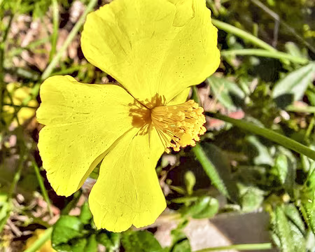 20211010-15h02m45s-20211010-15h02m45s-20211010-15h02m45s-20211010_150246-V3-V3-V3