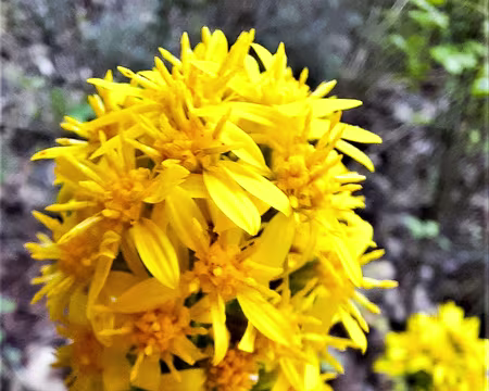 20211011-11h02m27s-20211011-11h02m27s-20211011-11h02m27s-20211011_110227-V3-V3-V3