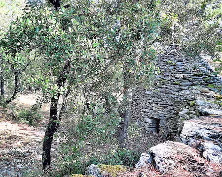 20211011-11h14m39s-20211011-11h14m39s-20211011-11h14m39s-20211011_111439-V3-V3-V3