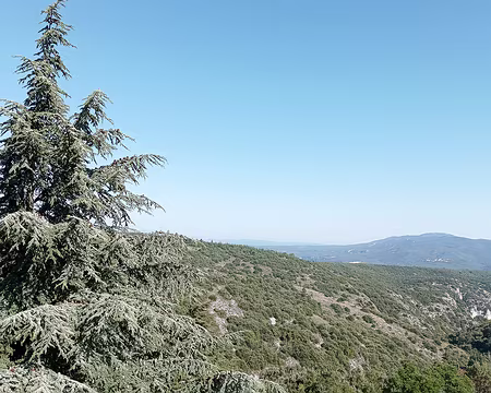 20211011-14h33m40s-20211011-14h33m40s-20211011-14h33m40s-IMG_20211011_143339-V3-V3-V3