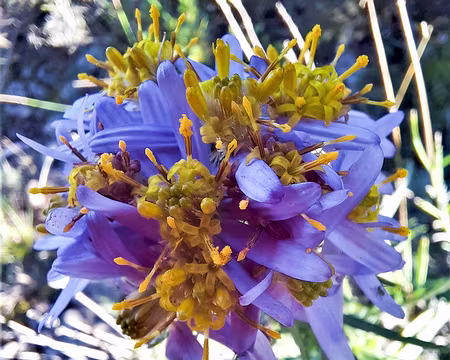 20211011-16h01m21s-20211011-16h01m21s-20211011-16h01m21s-20211011_160121-V3-V3-V3