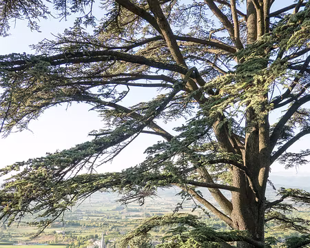 20211011-17h01m03s-20211011-17h01m03s-20211011-17h01m03s-XLA01645-V3-V3-V3