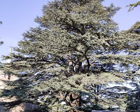 20211012-09h53m46s-20211012-09h53m46s-20211012-09h53m46s-IMG_20211012_095345-V3-V3-V3