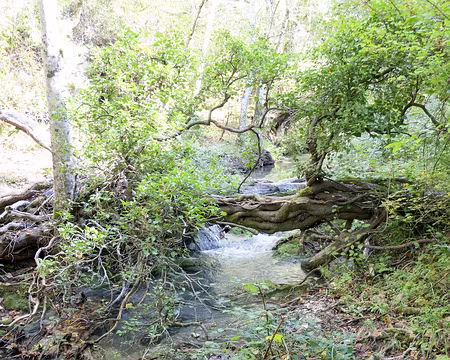 20211012-12h43m57s-20211012-12h43m57s-20211012-12h43m57s-XLA01663-V3-V3-V3