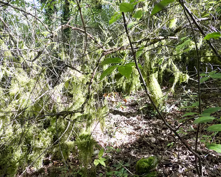 20211012-12h48m39s-20211012-12h48m39s-20211012-12h48m39s-XLA01665-V3-V3-V3