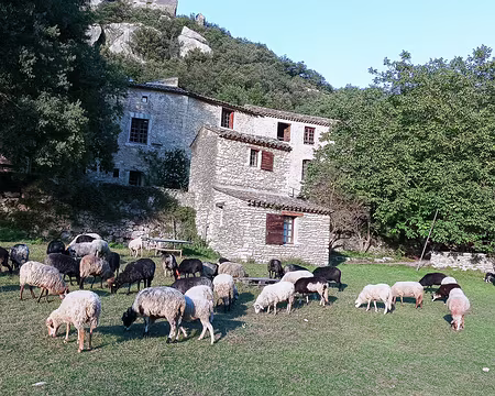 20211012-17h27m46s-20211012-17h27m46s-20211012-17h27m46s-IMG_20211012_172745-V3-V3-V3