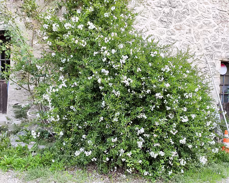 20211014-08h30m21s-20211014-08h30m21s-20211014-08h30m21s-IMG_20211014_083020-V3-V3-V3