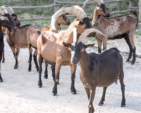 20211014-09h22m42s-20211014-09h22m42s-20211014-09h22m42s-XLA01718-V3-V3-V3