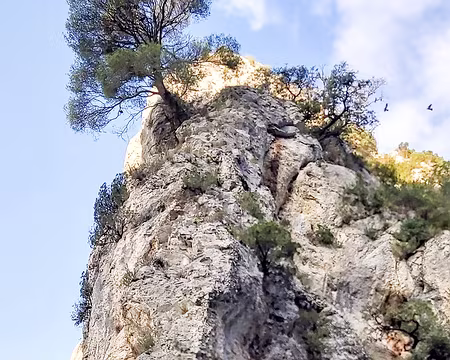 20211015-09h47m24s-20211015-09h47m24s-20211015_094724-V3-V3