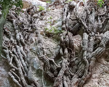 20211015-10h18m03s-20211015-10h18m03s-20211015-10h18m03s-IMG_20211015_101803-V3-V3-V3