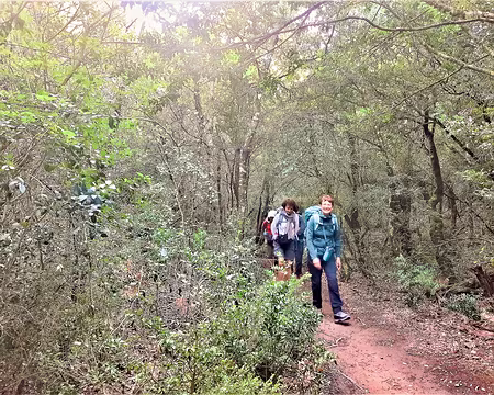 20211015-10h28m03s-20211015-10h28m03s-20211015-10h28m03s-20211015_102803-V3-V3-V3