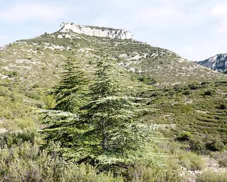 20211015-10h28m12s-20211015-10h28m12s-20211015-10h28m12s-XLA01765-V3-V3-V3