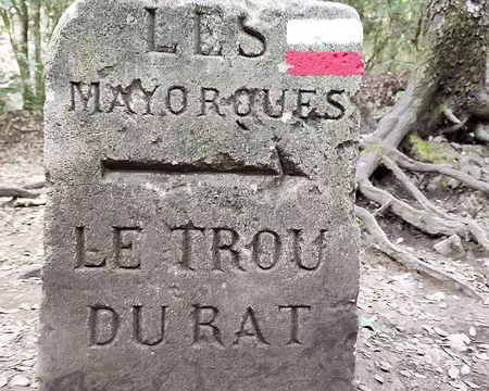 20211015-10h30m38s-20211015-10h30m38s-20211015-10h30m38s-IMG_20211015_103038-V3-V3-V3