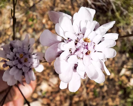 20211015-14h13m30s-20211015-14h13m30s-20211015-14h13m30s-20211015_141330-V3-V3-V3